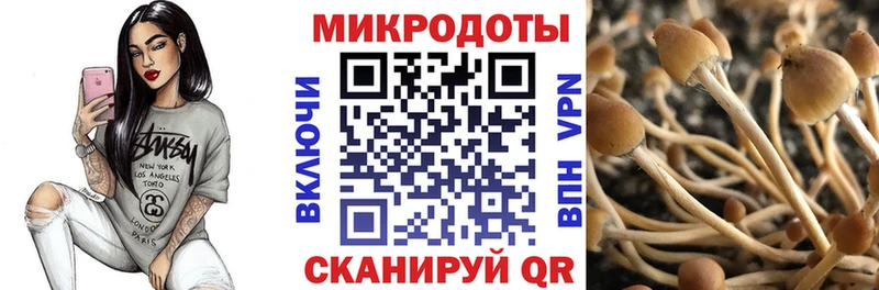 Псилоцибиновые грибы Psilocybe  Шумерля 